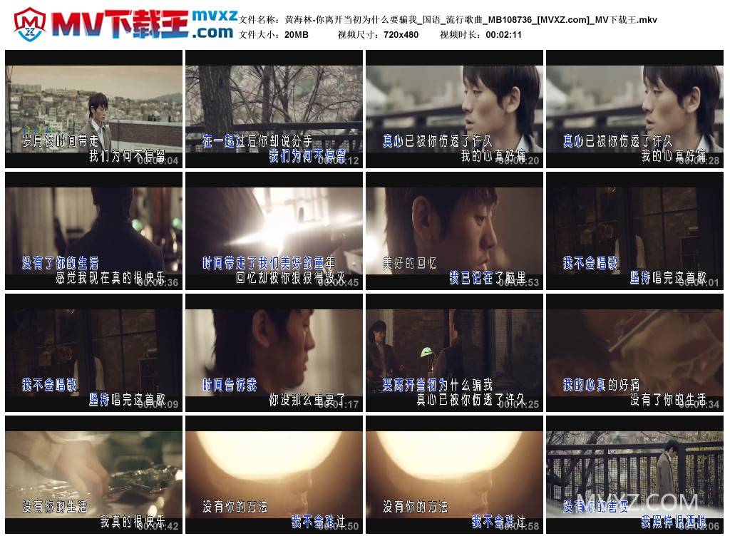 黄海林-你离开当初为什么要骗我_国语_流行歌曲_MB108736